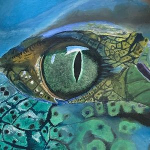 Meet your Posher, Seattle